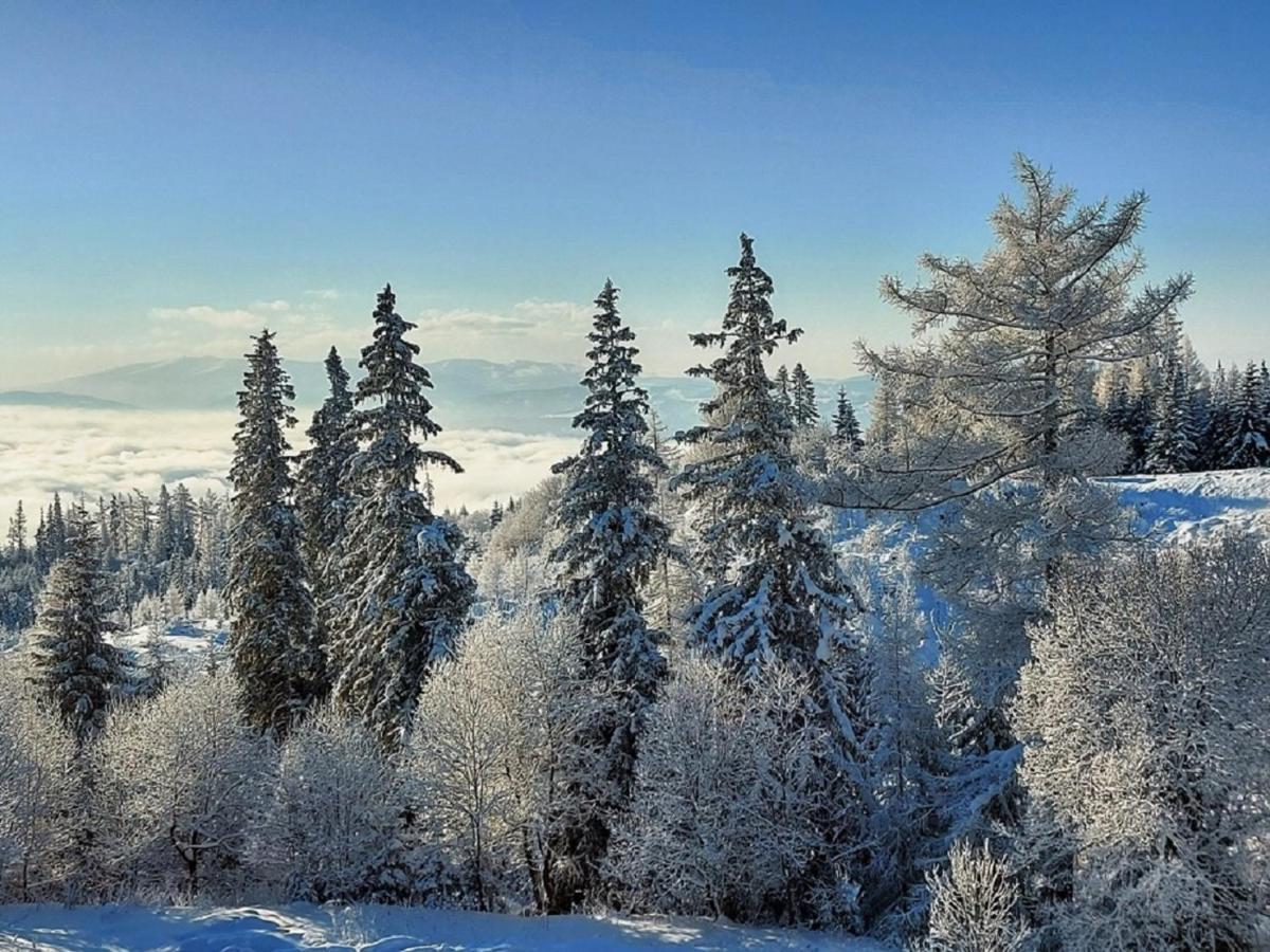 Strbske Pleso - Rezidencia Armeria Apt 30 Екстер'єр фото